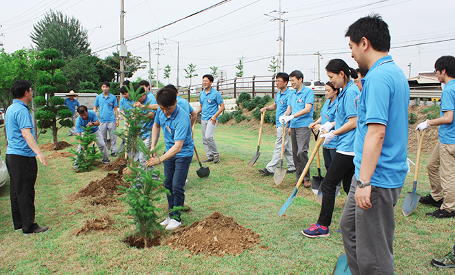 6. Tree planting events (Image)